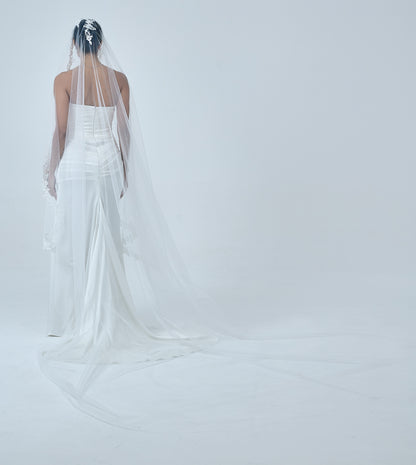AURA Veil
